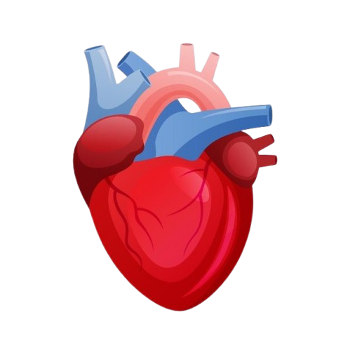 Corazón